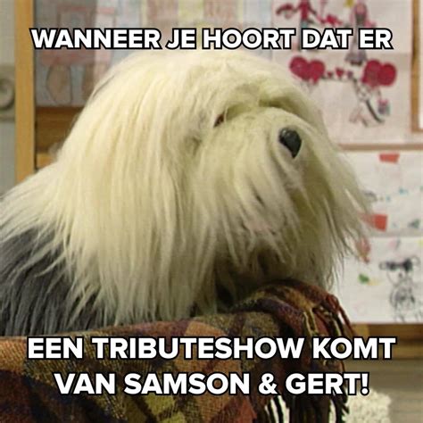 Wanneer je hoort dat heel wat bekende Vlamingen Samson & Gert-liedjes ...