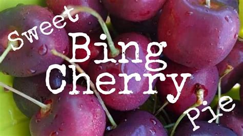 Sweet Cherry Pie Recipe; Bing Cherry Pie - Jett's Kitchen