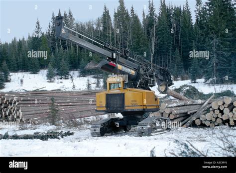 Logging industry Stock Photo - Alamy