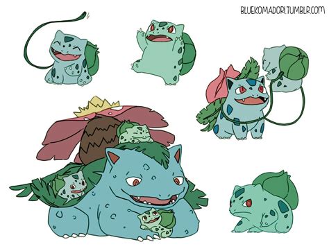 Bulbasaur, Ivysaur, and Venusaur | Pokemon bulbasaur, Cute pokemon ...