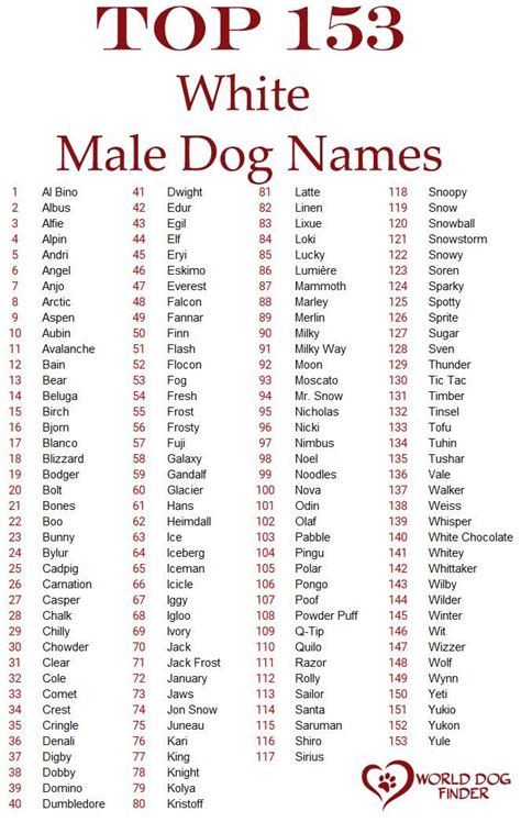 Male white dog names | Boy dog names unique, Dog names male, Dog names unique