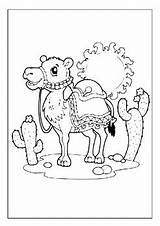 Unleash Your Creativity With Our Desert Coloring Sheets Collection 60  sketch template