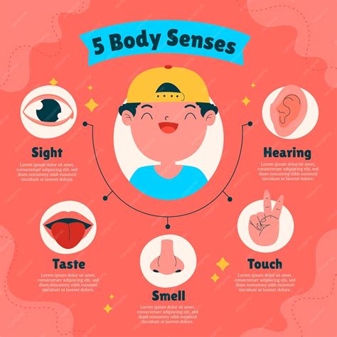 Free Vector | Hand drawn 5 senses infographic