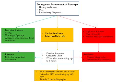 The Crucial Role Of Early Diagnosis In Syncope Management