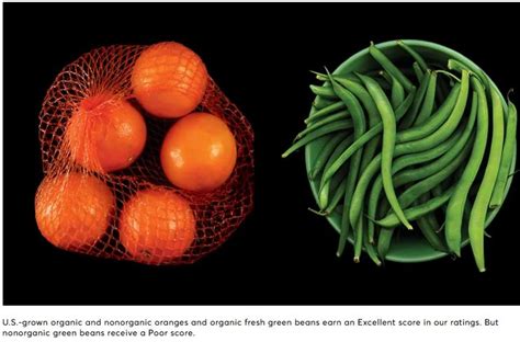 5 Facts About Pesticides in Foods – OB Rag