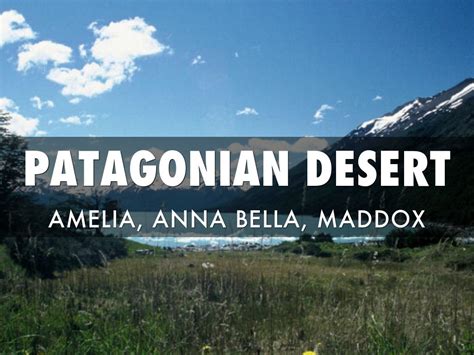 Patagonian Desert Brochure by Amelia Tubbs