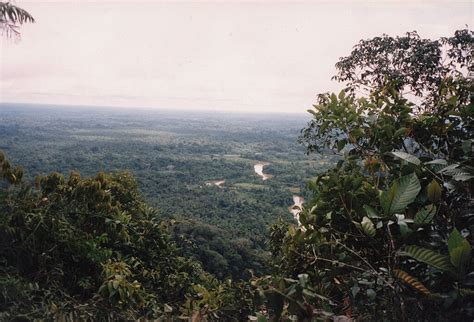 Serra do Divisor: Brazil's Gateway to Amazonian Wilderness | LAC Geo