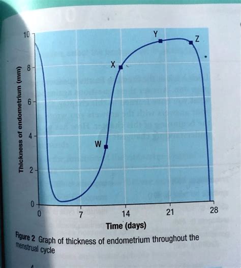 SOLVED: The endometrium thickness throughout the menstrual cycle is ...