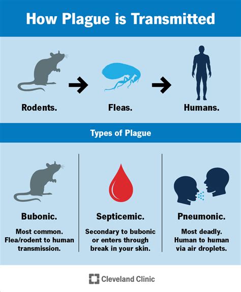 The Plague.......... - Lessons - Blendspace