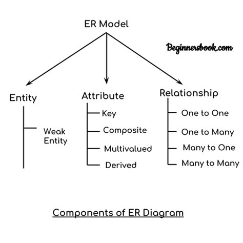 Entity Relationship Diagram – ER Diagram in DBMS