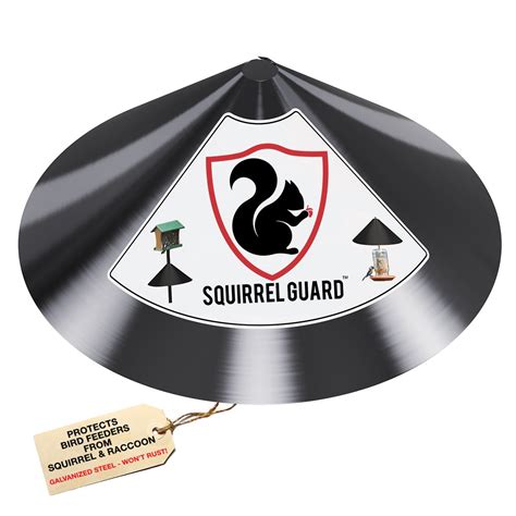 Buy Squirrel Guard Baffle - Protects Hanging Bird Feeders and Poles - Raccoon and Squirrel Proof ...