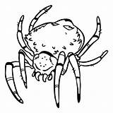 40  Spider Coloring Pages Free Printable PDF & Online sketch template