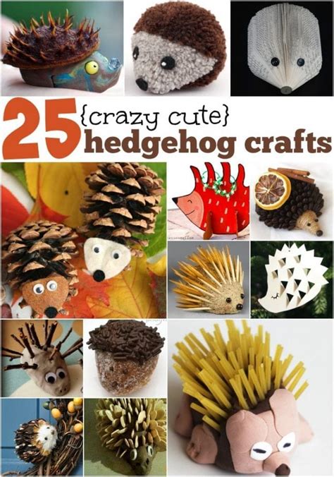 25 {Totally Cute} Hedgehog Crafts