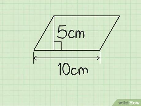 12+ Perimeter Of Parallelogram Calculator - TanzilaMroan