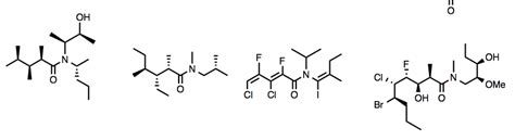 Name the following molecules below with proper | Chegg.com