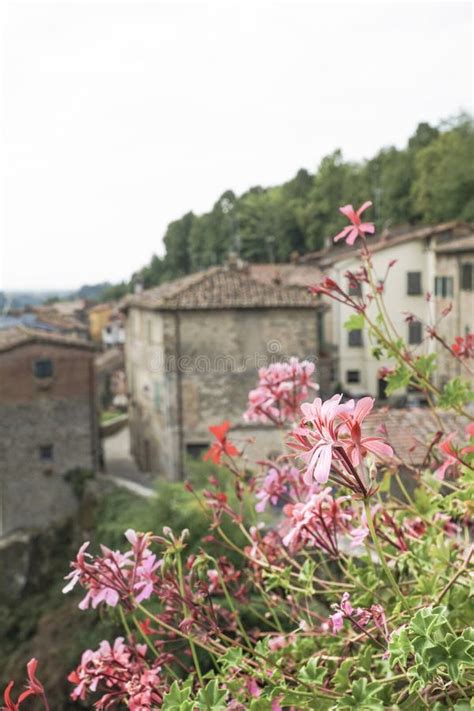 Spring Flowers Against Buildings in Tuscany, Italy Stock Image - Image ...