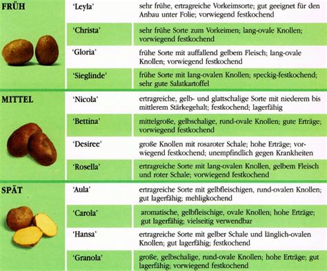 Kartoffeln aus dem eigenen Garten ernten, viele Sorten