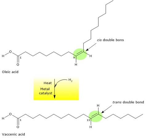 Trans fatty acids - Tuscany Diet