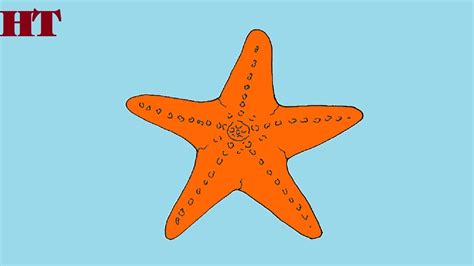 How to draw a starfish step by step | Fish drawing - YouTube