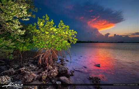 Mangrove at Lake Worth Lagoon with Colorful Clouds | HDR Photography by ...