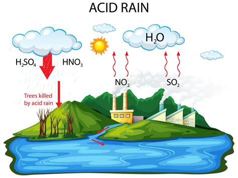 Acid Rain Explained For Kids