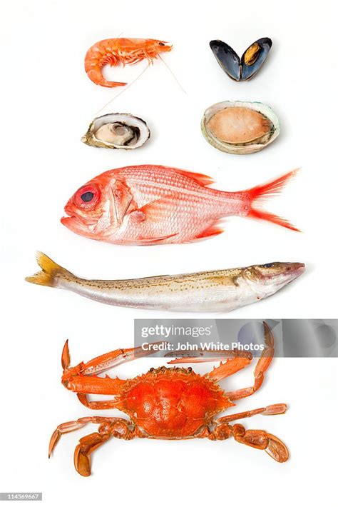 Fresh South Australian Seafood High-Res Stock Photo - Getty Images