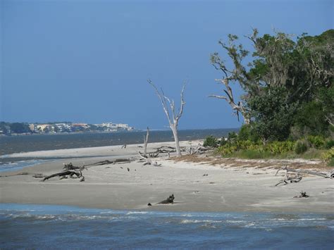 PL Fallin Photography: Driftwood Beach, Jekyll Island