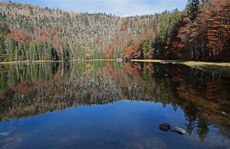 The Best Things to See and Do in the Bavarian Forest National Park