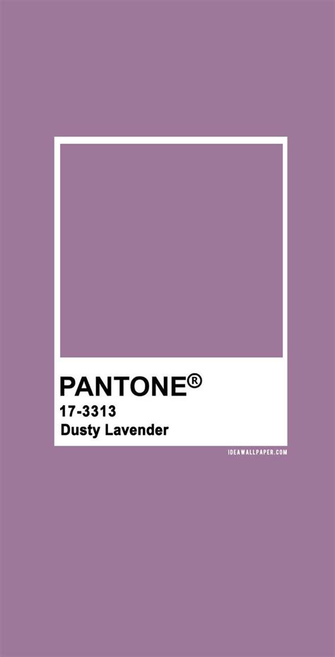 pantone's dusty lavender color is shown in this image