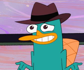 Perry The Platypus...Cute by SonamyandPOM on DeviantArt