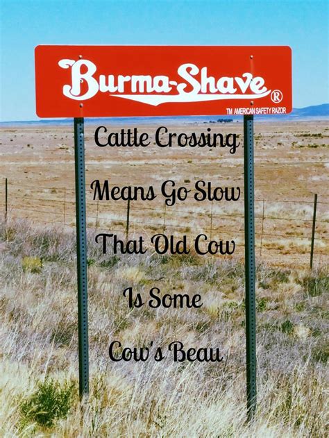 Pin on BURMA SHAVE...Remember these Roadside Signs?