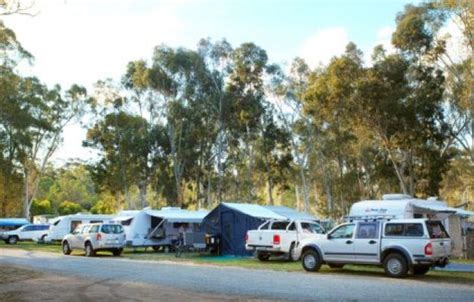 Discovery Holiday Parks Clare (CP) - Full Range Camping Directory