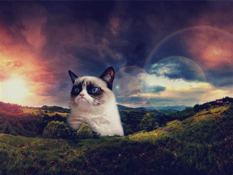 Get Your Grumpy Cat Wallpaper!