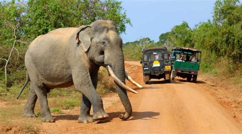 Wilpattu National Park -Pathum Lanka Tours Sri Lanka