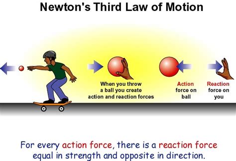 How Newtons laws are associated with skateboarding - Skater Boy