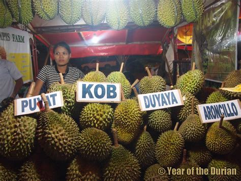 Philippine Durian Varieties - Year of the Durian