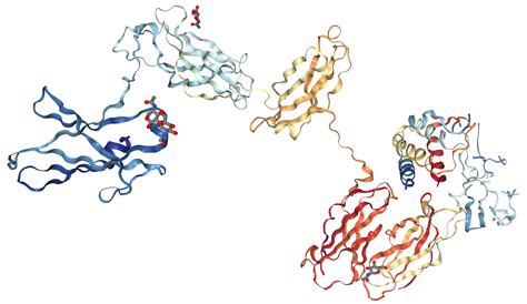 GM-CSF Receptor alpha Protein Overview | Sino Biological