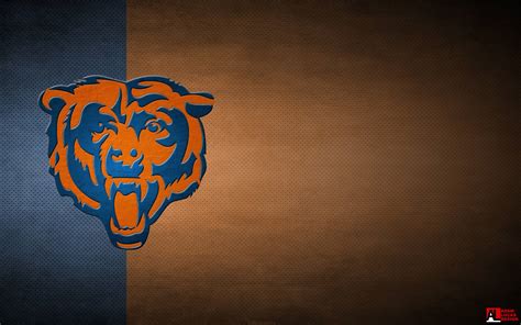 Bears Logo Wallpapers - Top Free Bears Logo Backgrounds - WallpaperAccess