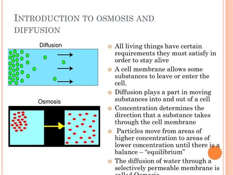 PPT - Osmosis and Diffusion PowerPoint Presentation, free download - ID:1973547