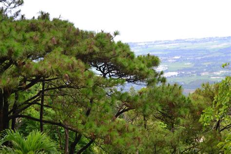 Mt samat | Natural landmarks, Wander, Outdoor