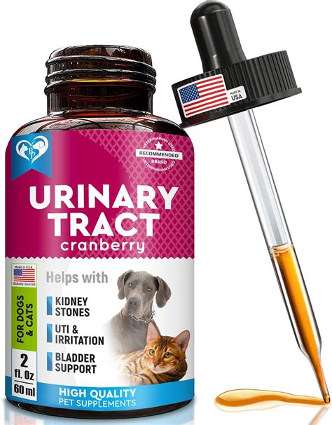 Cat & Dog Urinary Tract Infection Treatment & Natural UTI Medicine ...