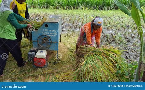 Rice Harvester Machine