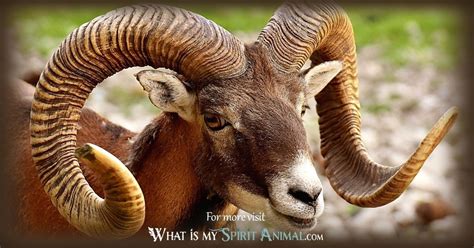 Ram Symbolism & Meaning | Spirit, Totem & Power Animal