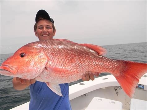 Alabama Offshore Fishing Spots | Gulf GPS Fishing Spots Maps