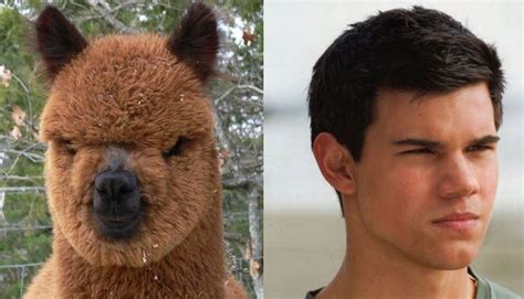 The Resemblance Is Uncanny (20 PICTURES)