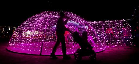 Let's glow, Tucson. The Winterhaven Festival of Lights returns this weekend 💡 | to do | tucson.com