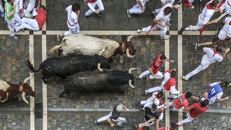 Luxury Travel Company Drops Cruel Running of the Bulls Trips - News - PETA Australia