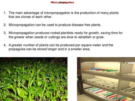 Tissue culture applications