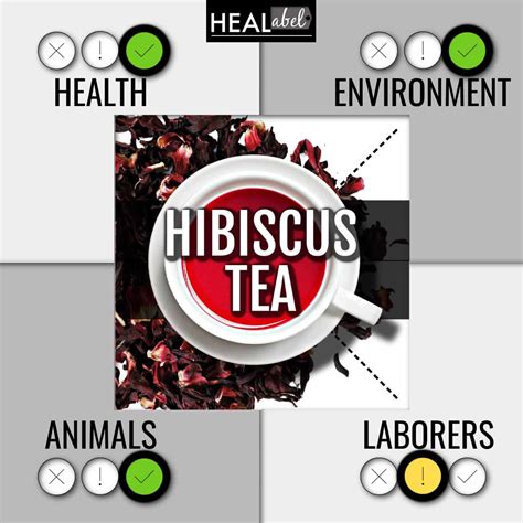 Hibiscus Flower Tea Side Effects | Best Flower Site