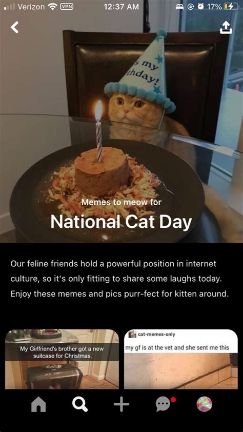 National Cat Day memes | Pinterest | National cat day, Cat memes, Internet culture